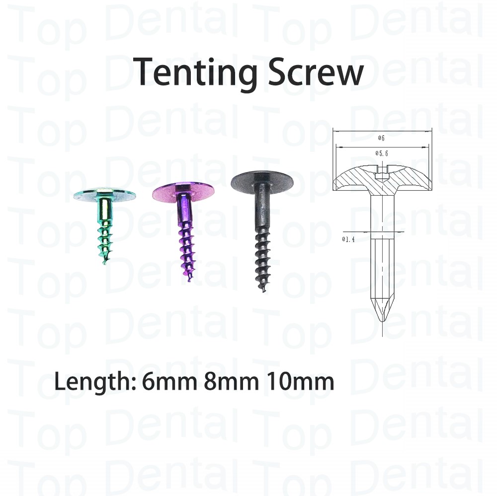 10 szt. Śrubek kostnych GBR Sy – Stabilizer Screw In recenzja i cena